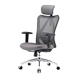 SIHOO M18 Ergonomic Office Chair for Big and Tall People Adjustable Headrest with 2D Armrest Lumbar...
