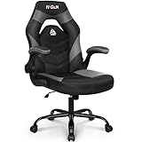 N-GEN Gaming Chair Ergonomic Office Chair Computer Desk Chair with Lumbar Support Flip Up Arms...
