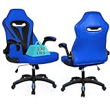 Dvenger Gaming Chair Ergonomic Office Chair Computer Desk Chair with Lumbar Support Flip Up Arms...