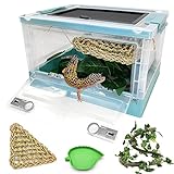 Hamiledyi Foldable Reptile Terrariums Kit, 6 PCS Gecko Tank Starter Kits Mini Transparent Lizard...