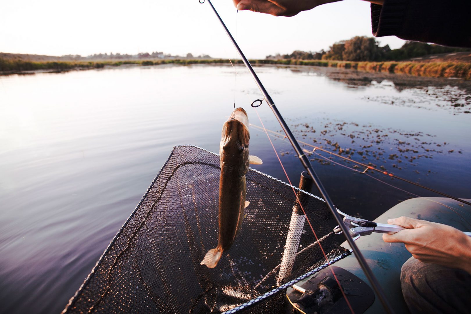 Top 10 Best Portable Fish Finder In 2019 Gadgets Club