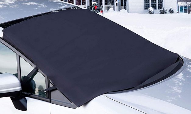 Top 10 Best Windshield Snow Covers in November 2025