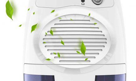 Top 10 Best Dehumidifier In April 2024