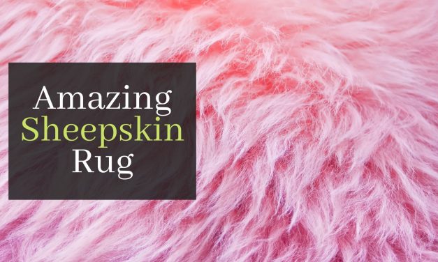 The Amazing Sheepskin Rug