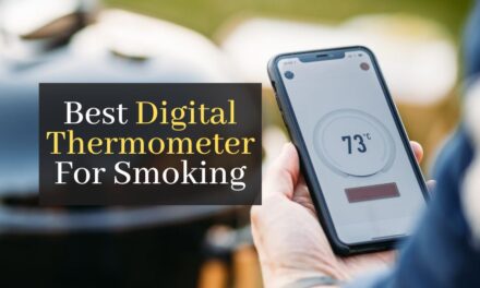 Top 5 Best Digital Thermometer For Smoking