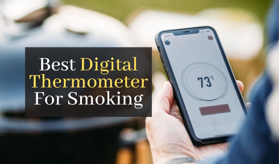 Top 5 Best Digital Thermometer For Smoking