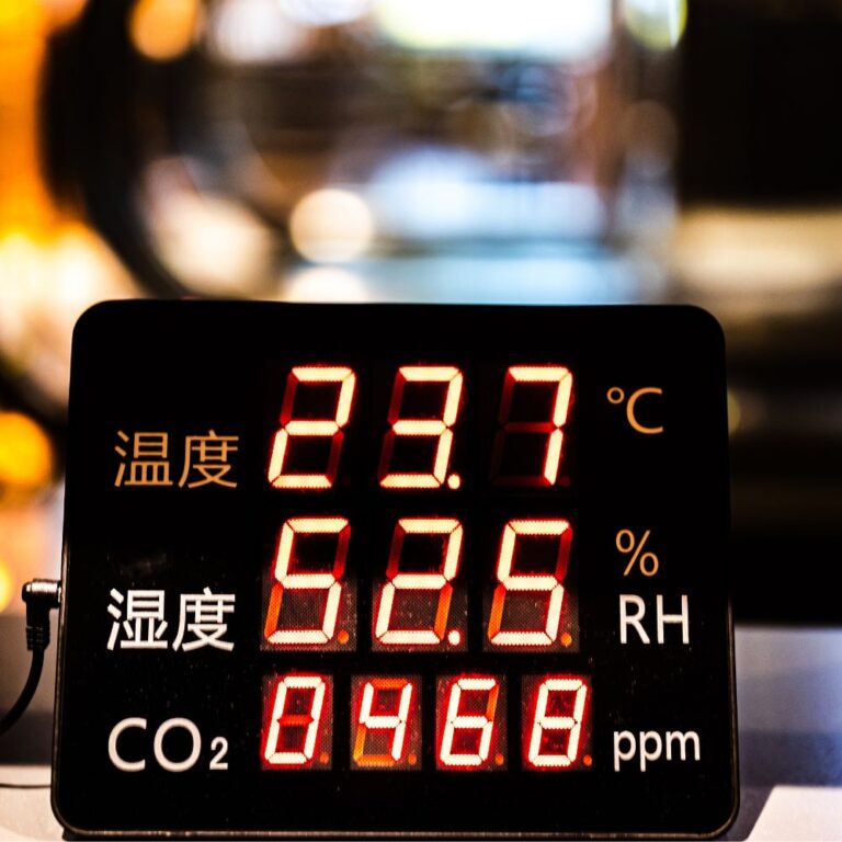 Top 5 Best Digital Thermometer For Smoking Gadgets Club