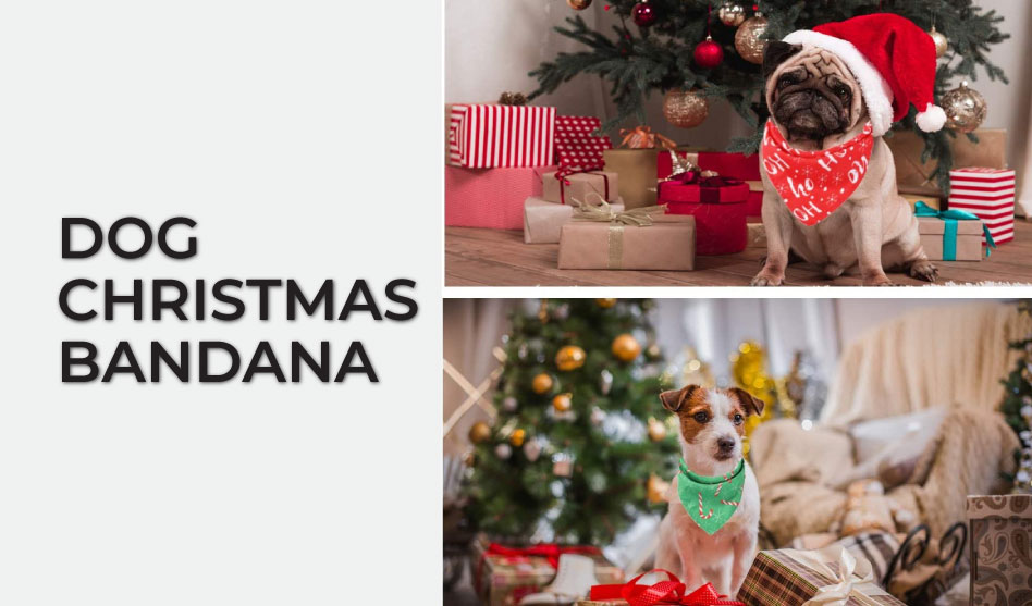 Dog Christmas Bandana. Top 10 Best Selling Dog Christmas Bandanas in May 2025