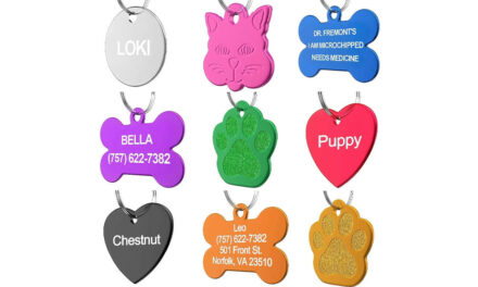 Personalized Cat Tags. Top 10 Best Selling Personalized Cat Tags in February 2024