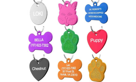 Personalized Cat Tags. Top 10 Best Selling Personalized Cat Tags in March 2025