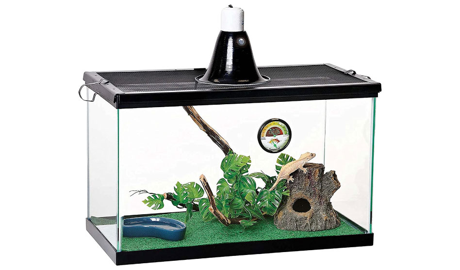 Reptile Starter Kit. Top 10 Best Selling Reptile Starter Kits in May 2025