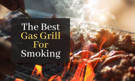 The Best Gas Grill For Smoking. Top 5 Best Rated Grills