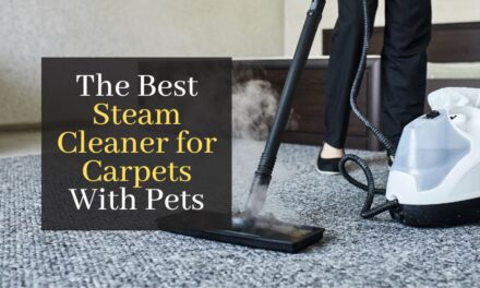 The Best Steam Cleaner for Carpets With Pets In The House – The Top 5 Models