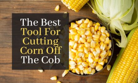 The Best Tool For Cutting Corn Off The Cob. Top 5 Best Corn Cutter Tools