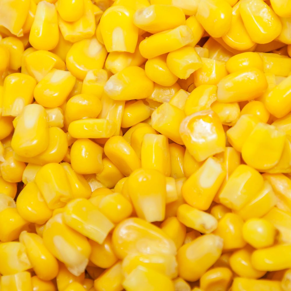 Top best corn cutter tools Top best corn cutter tools