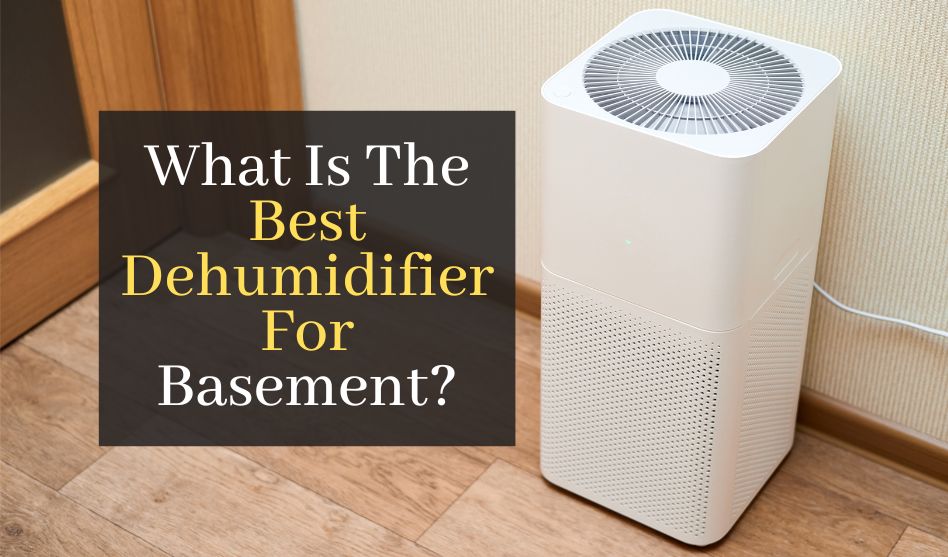 What Is The Best Dehumidifier For Basement? Top 5 Best Basement Dehumidifiers
