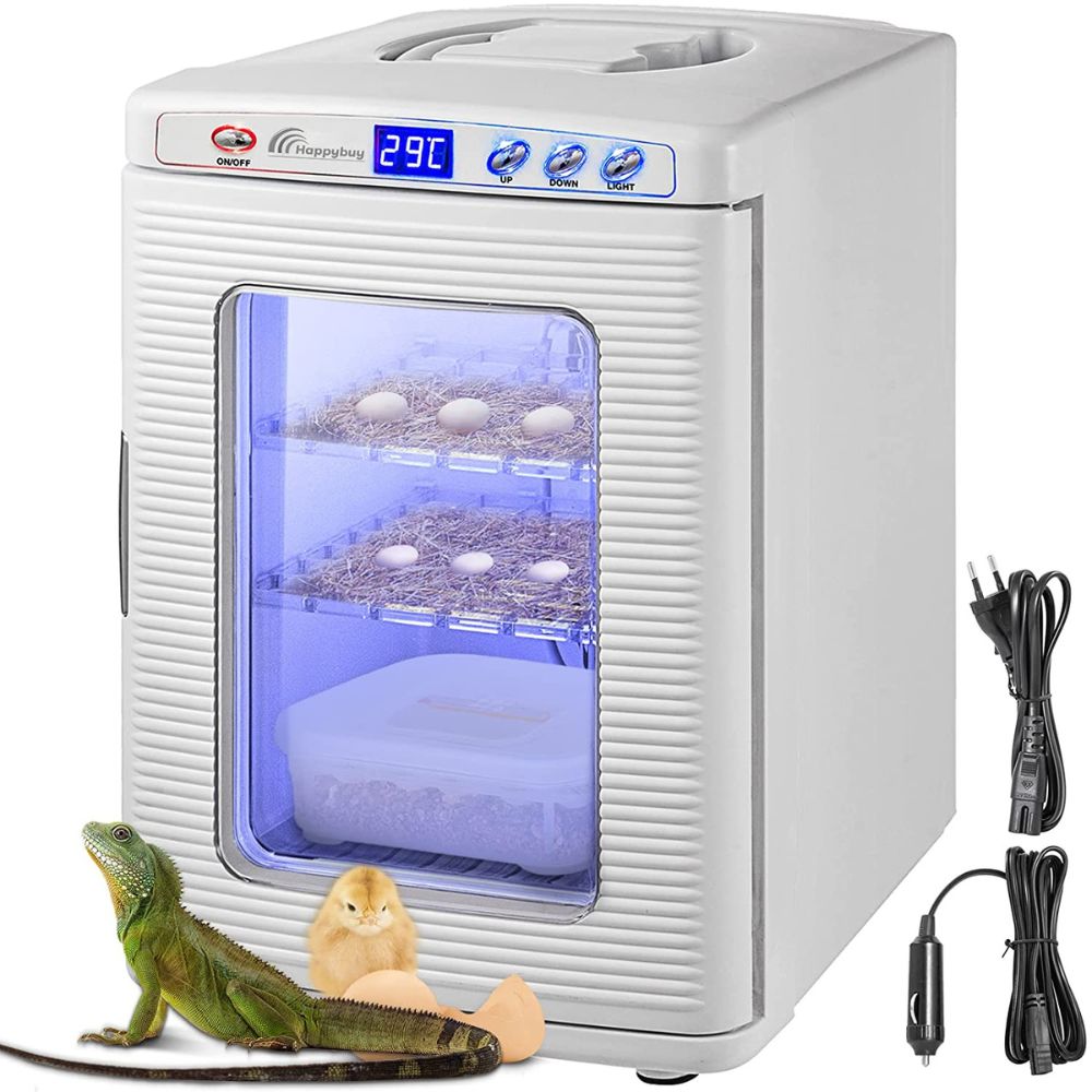 the Best Incubator For Reptile Eggs