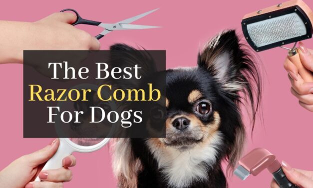 The Best Razor Comb For Dogs. Top 3 Best Rated Products to Groom Your Pet