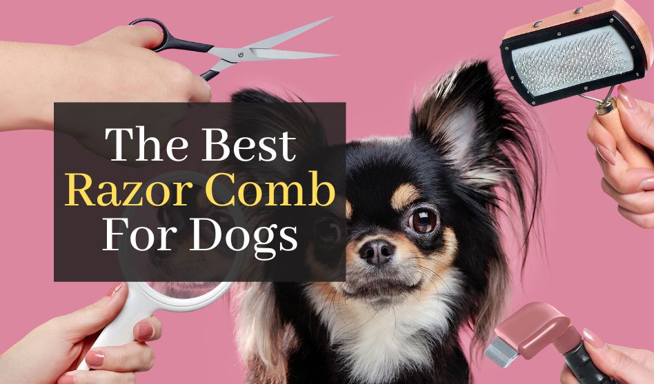 The Best Razor Comb For Dogs. Top 3 Best Rated Products to Groom Your Pet