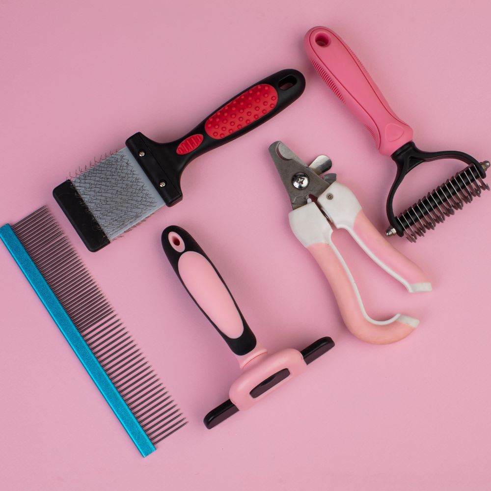 The Best Razor Comb For Dogs The Best Razor Comb For Dogs