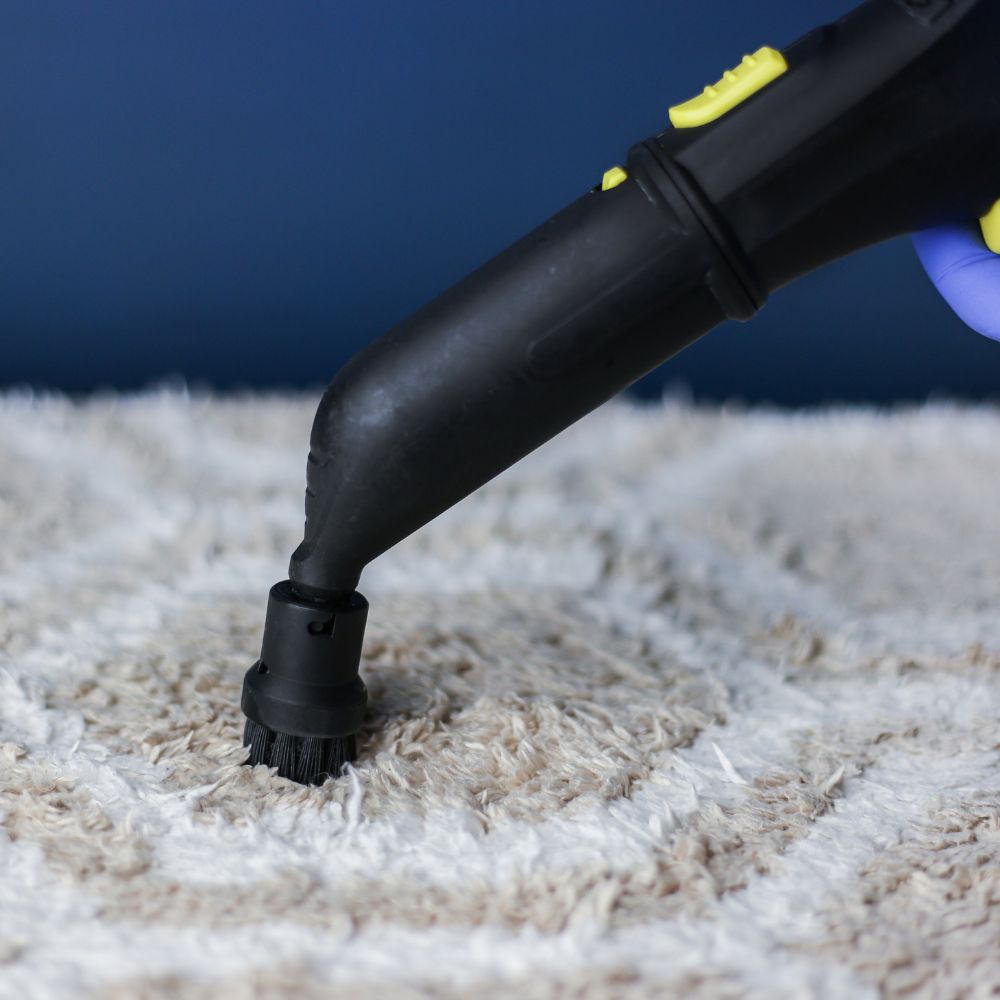 Top Steam Cleaners For Carpets