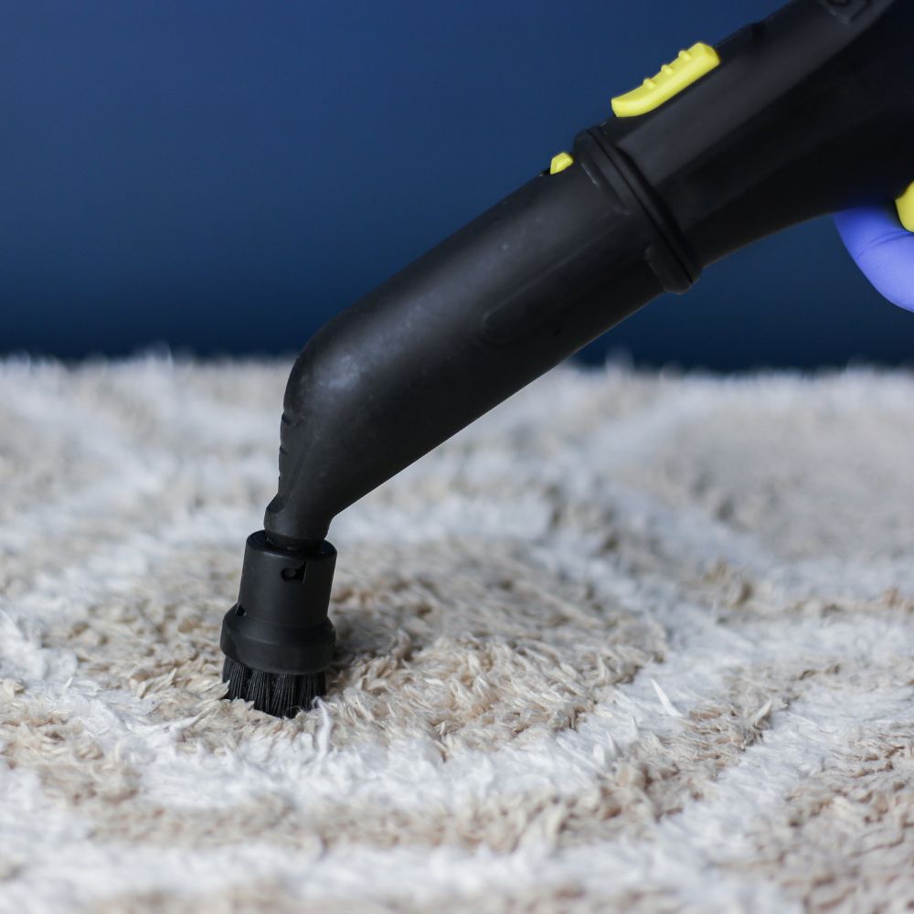 Top Steam Cleaners For Carpets Top Steam Cleaners For Carpets