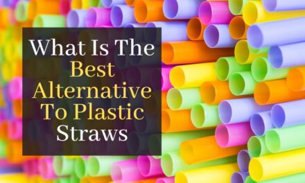 What Is The Best Alternative To Plastic Straws? Discover The Top 5 Eco Friendly Alternatives