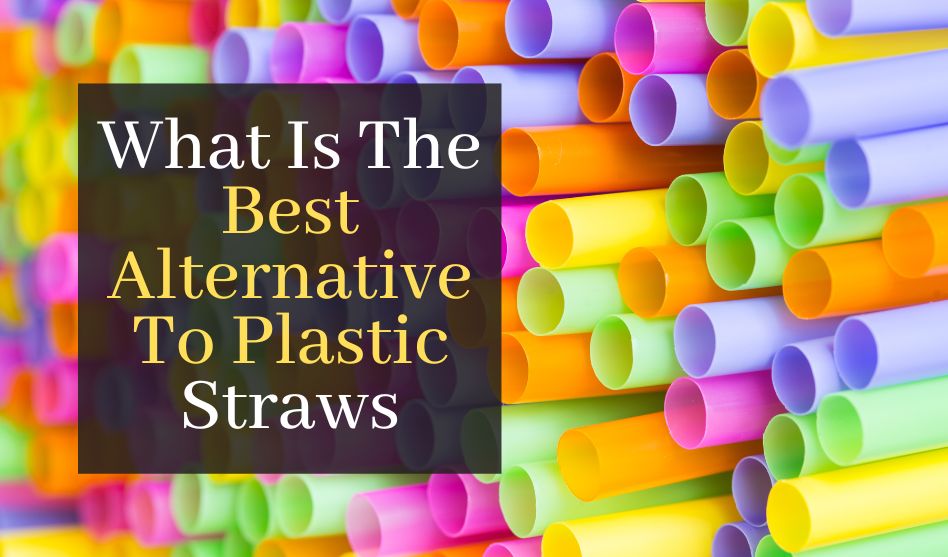 What Is The Best Alternative To Plastic Straws? Discover The Top 5 Eco Friendly Alternatives