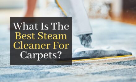 What Is The Best Steam Cleaner For Carpets