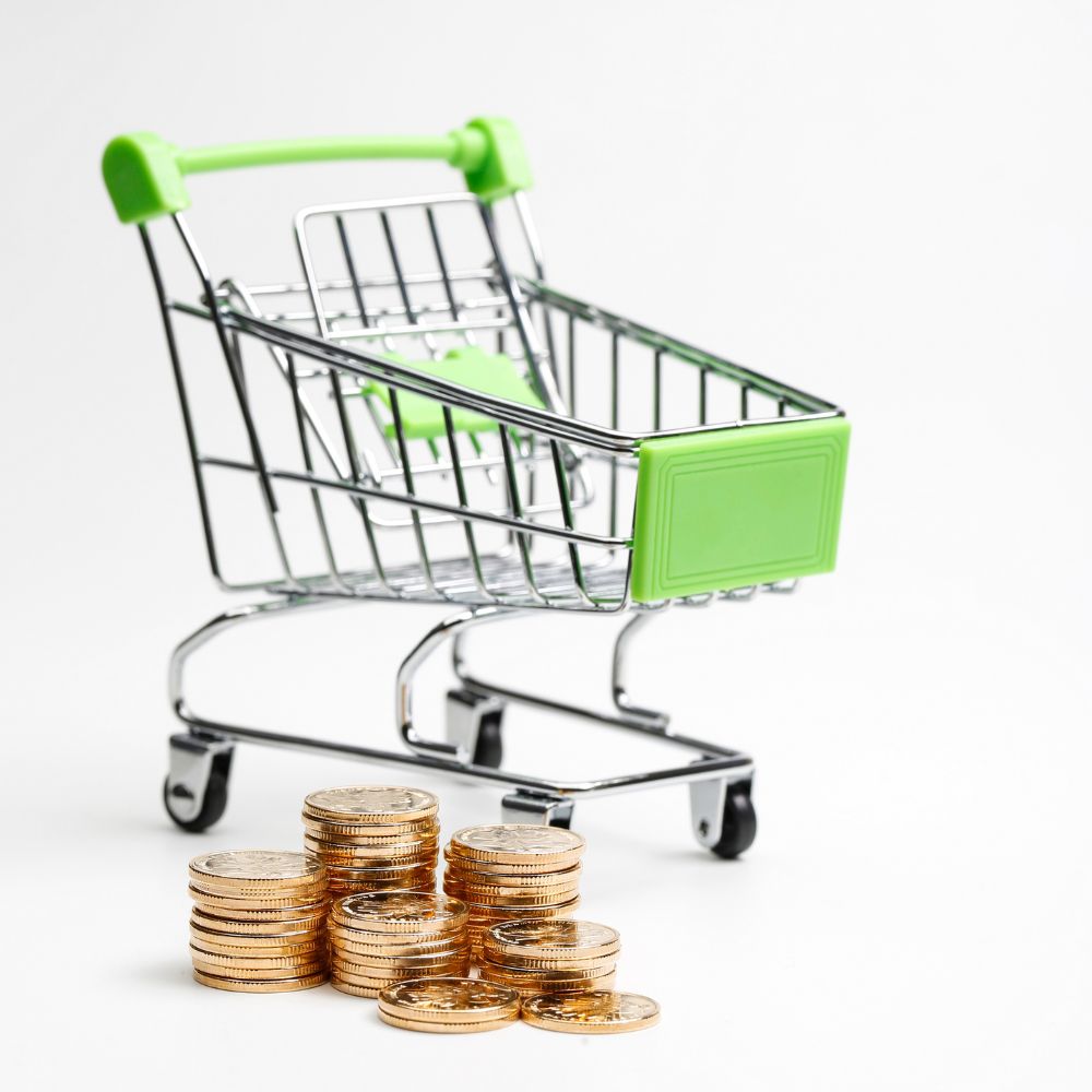 best shopping cart for elderly best shopping cart for elderly