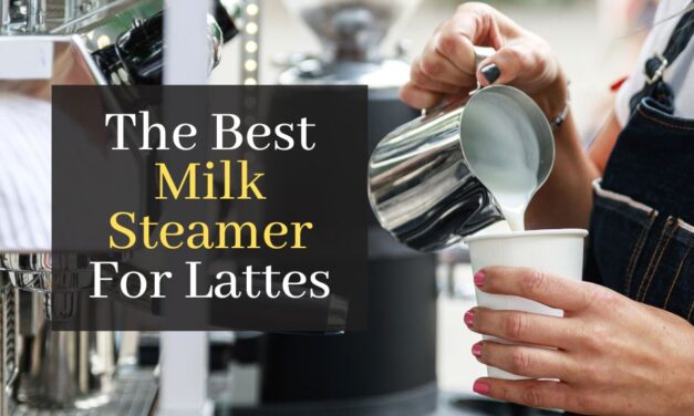 The Best Milk Steamer For Lattes. Top 5 Milk Steamers For Delicious Coffee Based Drinks