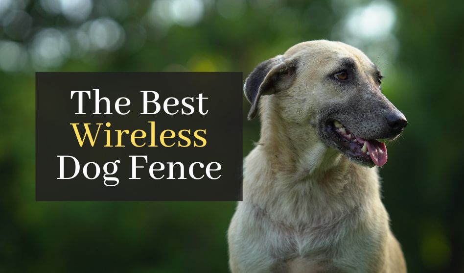 The Best Wireless Dog Fence. Top 5 Best Rated Wireless
Fences For Single Or Multiple Dogs