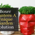 Boxer Planters: A Unique Garden Solution